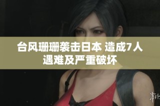 台风珊珊袭击日本 造成7人遇难及严重破坏