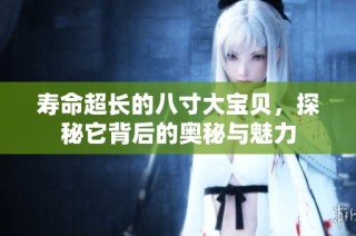 寿命超长的八寸大宝贝，探秘它背后的奥秘与魅力