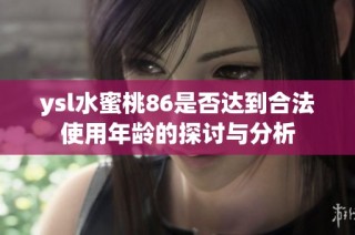 ysl水蜜桃86是否达到合法使用年龄的探讨与分析
