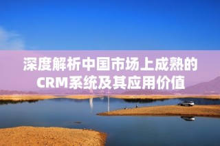 深度解析中国市场上成熟的CRM系统及其应用价值