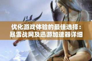 优化游戏体验的最佳选择：暴雪战网及迅游加速器详细分析