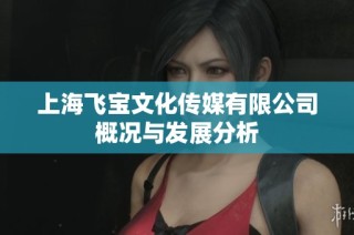 上海飞宝文化传媒有限公司概况与发展分析