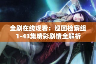 全剧在线观看：巡回检察组1-43集精彩剧情全解析