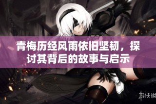 青梅历经风雨依旧坚韧，探讨其背后的故事与启示