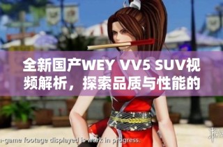 全新国产WEY VV5 SUV视频解析，探索品质与性能的完美结合