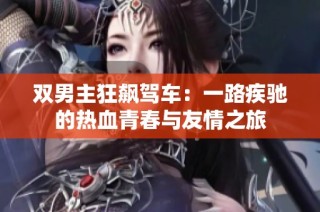 双男主狂飙驾车：一路疾驰的热血青春与友情之旅