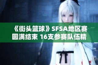 《街头篮球》SFSA地区赛圆满结束 16支参赛队伍精彩亮相