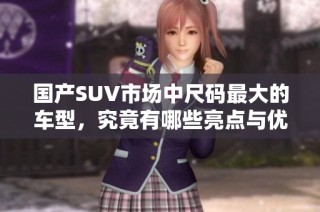 国产SUV市场中尺码最大的车型，究竟有哪些亮点与优势