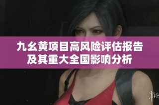 九幺黄项目高风险评估报告及其重大全国影响分析