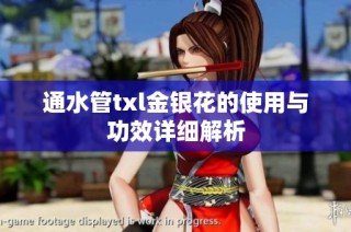 通水管txl金银花的使用与功效详细解析