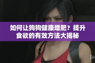 如何让狗狗健康增肥？提升食欲的有效方法大揭秘