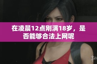 在凌晨12点刚满18岁，是否能够合法上网呢