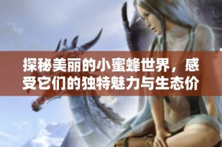 探秘美丽的小蜜蜂世界，感受它们的独特魅力与生态价值