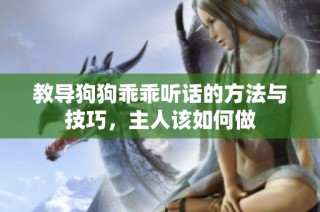教导狗狗乖乖听话的方法与技巧，主人该如何做