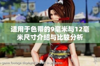 适用于色带的9毫米与12毫米尺寸介绍与比较分析