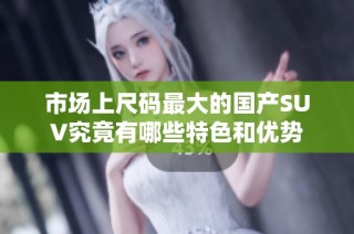 市场上尺码最大的国产SUV究竟有哪些特色和优势