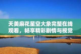 天美麻花星空大象完整在线观看，畅享精彩剧情与视觉盛宴