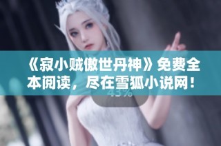 《寂小贼傲世丹神》免费全本阅读，尽在雪狐小说网！