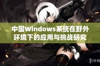 中国Windows系统在野外环境下的应用与挑战研究