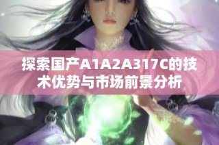 探索国产A1A2A317C的技术优势与市场前景分析