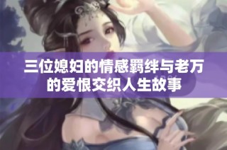 三位媳妇的情感羁绊与老万的爱恨交织人生故事