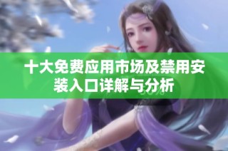 十大免费应用市场及禁用安装入口详解与分析