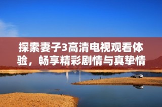 探索妻子3高清电视观看体验，畅享精彩剧情与真挚情感