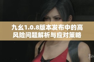 九幺1.0.8版本发布中的高风险问题解析与应对策略
