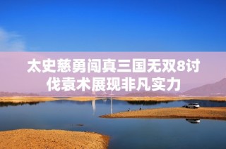 太史慈勇闯真三国无双8讨伐袁术展现非凡实力