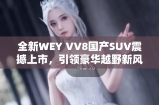 全新WEY VV8国产SUV震撼上市，引领豪华越野新风潮