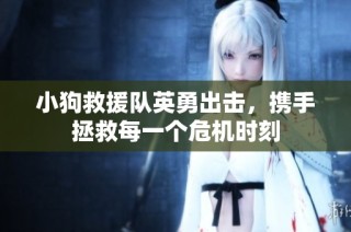 小狗救援队英勇出击，携手拯救每一个危机时刻