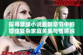 探寻孽缘小说最新章节中的错综复杂家庭关系与情感纠葛