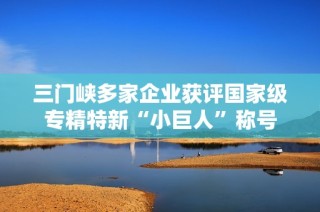 三门峡多家企业获评国家级专精特新“小巨人”称号