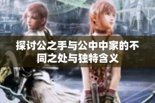 探讨公之手与公中中家的不同之处与独特含义