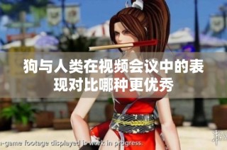 狗与人类在视频会议中的表现对比哪种更优秀