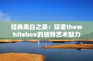 经典黑白之美：探索thewhitebox的独特艺术魅力