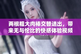 两根粗大肉棒交替进出，带来无与伦比的快感体验视频