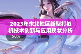 2023年东北地区新型打桩机技术创新与应用现状分析