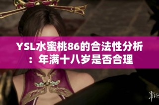 YSL水蜜桃86的合法性分析：年满十八岁是否合理