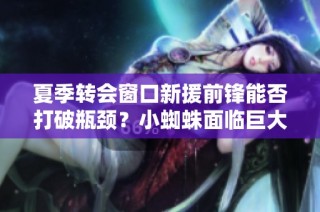 夏季转会窗口新援前锋能否打破瓶颈？小蜘蛛面临巨大压力