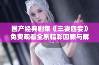 国产经典剧集《三妻四妾》免费观看全剧精彩回顾与解析