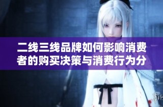二线三线品牌如何影响消费者的购买决策与消费行为分析