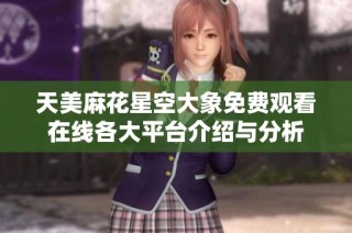 天美麻花星空大象免费观看在线各大平台介绍与分析