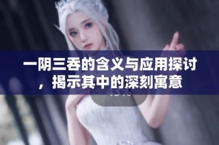 一阴三吞的含义与应用探讨，揭示其中的深刻寓意