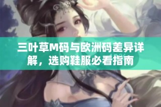 三叶草M码与欧洲码差异详解，选购鞋服必看指南