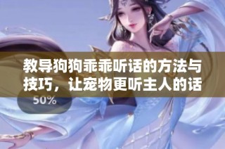 教导狗狗乖乖听话的方法与技巧，让宠物更听主人的话