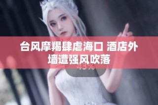 台风摩羯肆虐海口 酒店外墙遭强风吹落