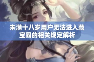 未满十八岁用户无法进入藏宝阁的相关规定解析