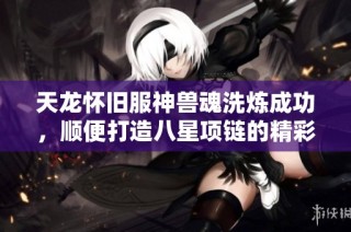 天龙怀旧服神兽魂洗炼成功，顺便打造八星项链的精彩经历