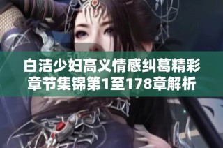 白洁少妇高义情感纠葛精彩章节集锦第1至178章解析